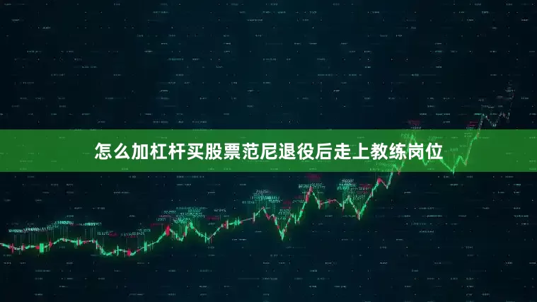 怎么加杠杆买股票范尼退役后走上教练岗位
