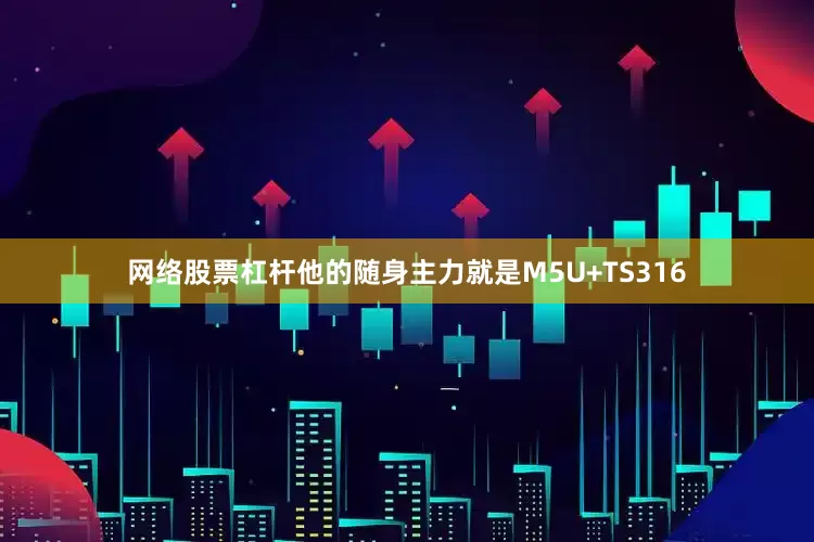 网络股票杠杆他的随身主力就是M5U+TS316