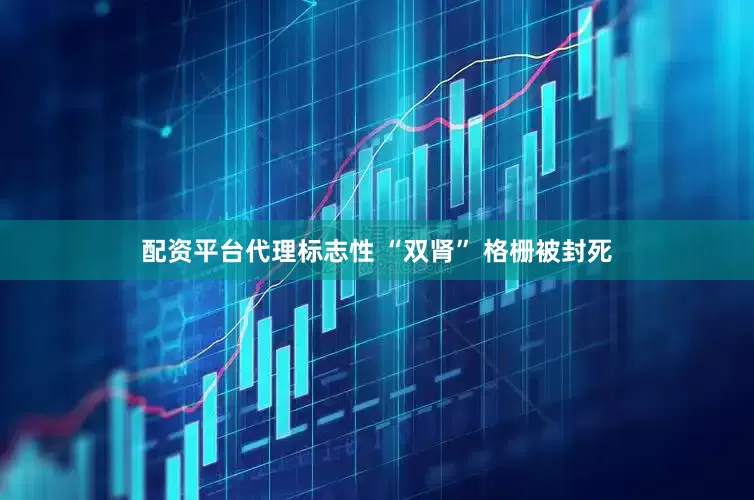 配资平台代理标志性 “双肾” 格栅被封死