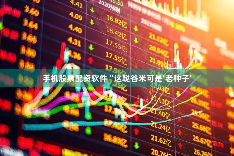 手机股票配资软件“这鞑谷米可是‘老种子’